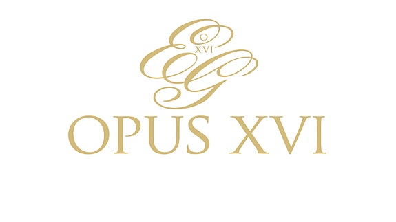Hotel Opus XVI logo