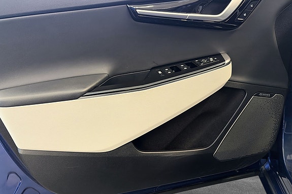 Detaljer dør