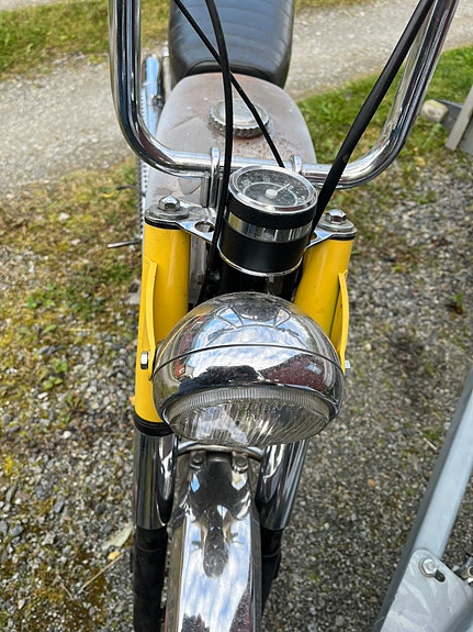 Tempo Panter 2 of 3