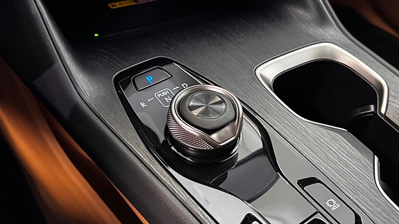 Lexus RZ450e 29 of 30