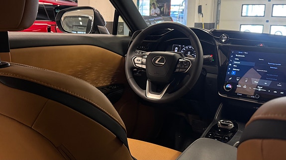 Lexus RZ450e 16 of 30
