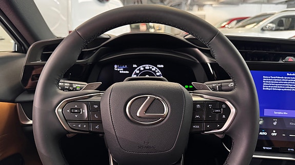 Lexus RZ450e 18 of 30