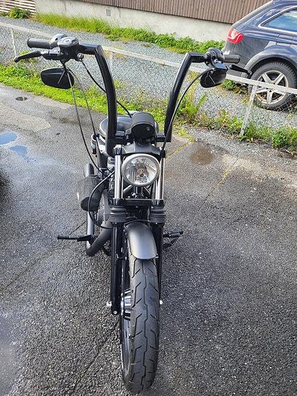 Harley-Davidson XL 883N Iron 3 of 6