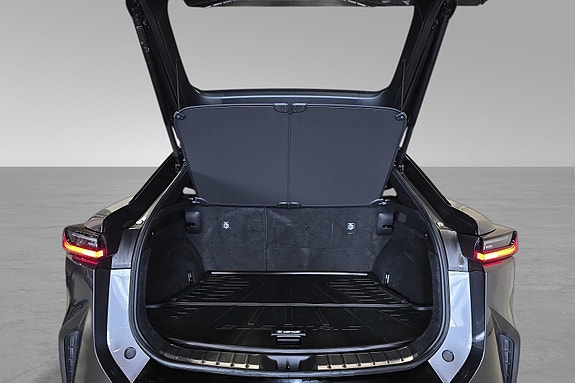 Lexus RZ450e 19 of 22
