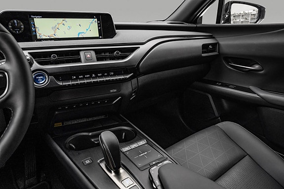Lexus UX300e 19 of 29