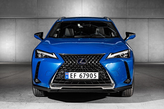 Lexus UX300e 3 of 29