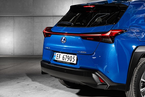 Lexus UX300e 6 of 29