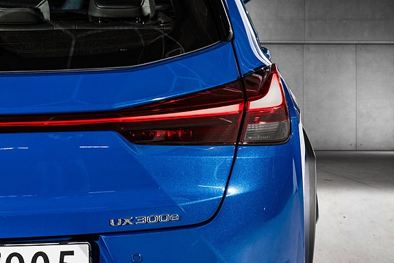 Lexus UX300e 8 of 29
