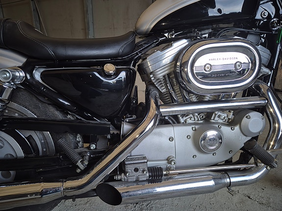 Harley-Davidson XL 883 Sportster 8 of 16