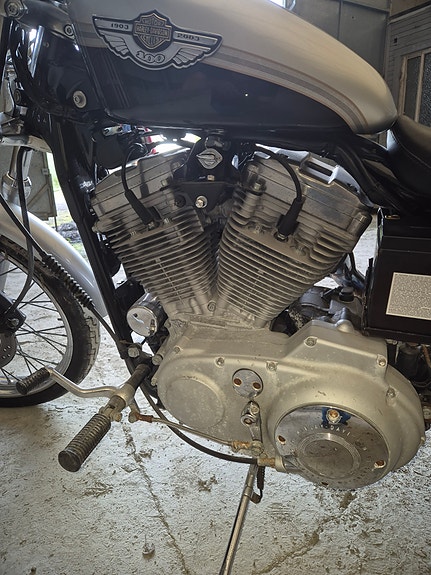 Harley-Davidson XL 883 Sportster 3 of 16