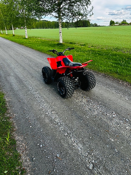 Can-Am DS 90 15 of 17