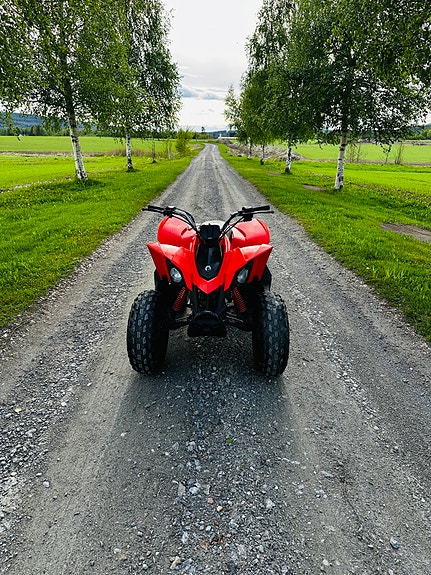 Can-Am DS 90 3 of 17