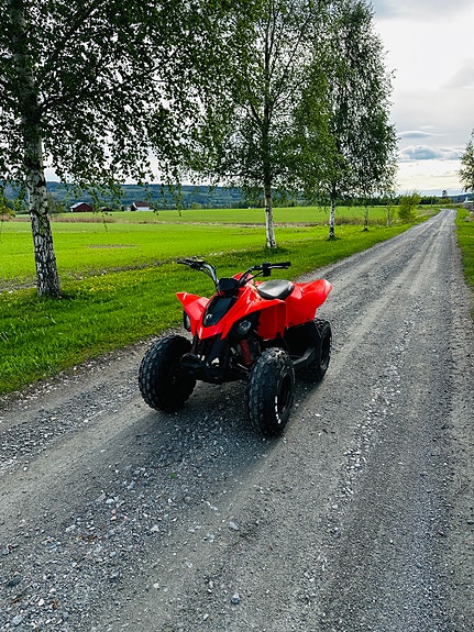 Can-Am DS 90 2 of 17