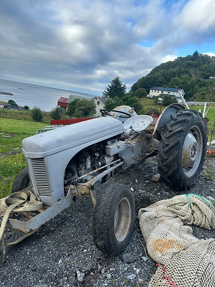 Massey Ferguson Gråtass 2 of 3