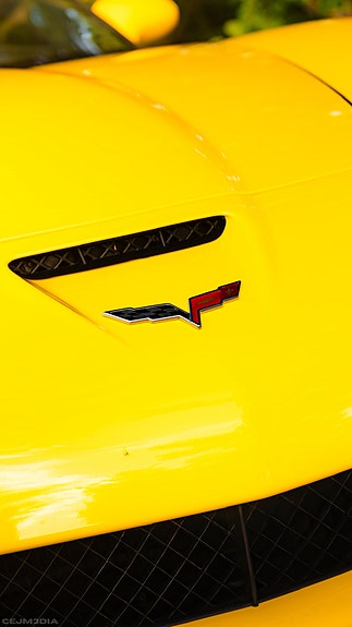 Chevrolet Corvette 11 of 30