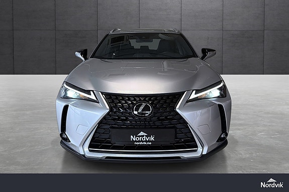 Lexus UX300e 8 of 19