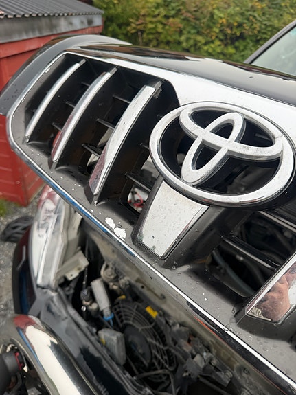Toyota Land Cruiser 12 of 30