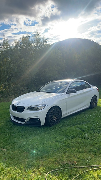 BMW 220i 3 of 17