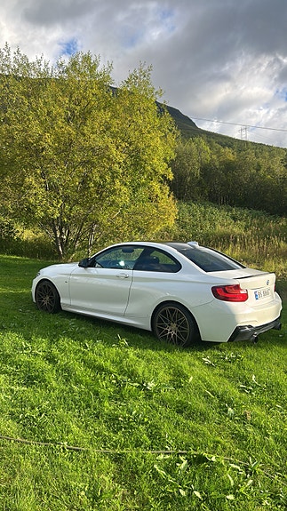 BMW 220i 2 of 17