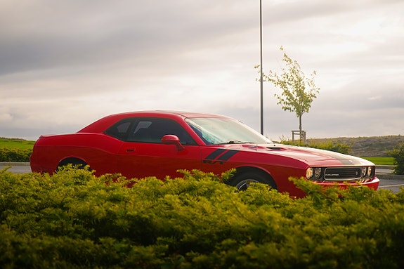 Dodge Challenger 6 of 23