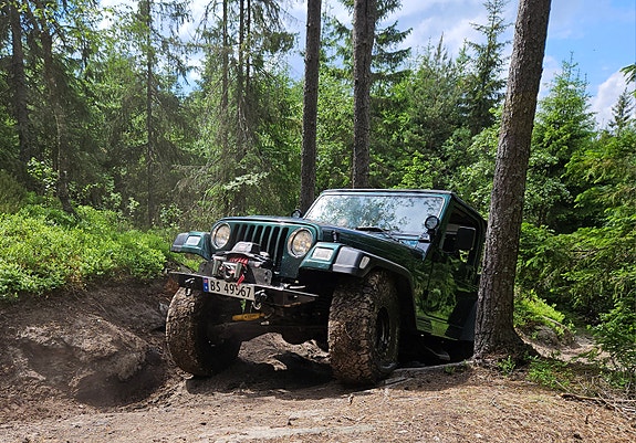 Jeep Wrangler 6 of 30