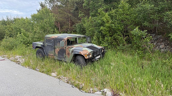 Hummer 2 of 18
