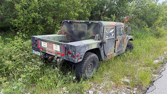 Hummer 3 of 18