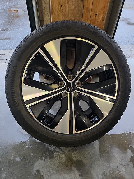 Polestar 2 4 of 4
