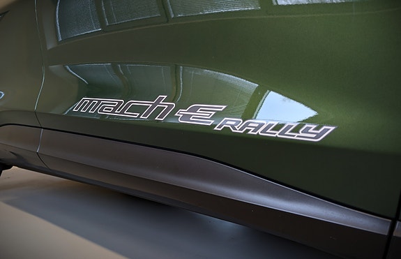 Ford Mustang Mach-E 19 of 30