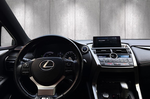 Lexus NX300h 18 of 28