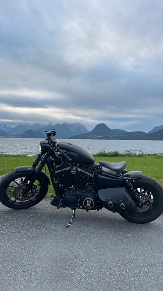 Harley-Davidson 1200 cc Sportster 8 of 8