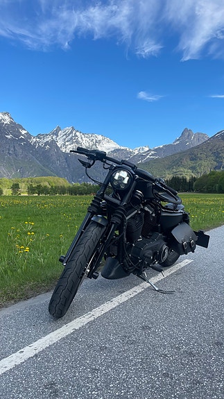 Harley-Davidson 1200 cc Sportster 7 of 8