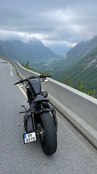 Harley-Davidson 1200 cc Sportster 2 of 8