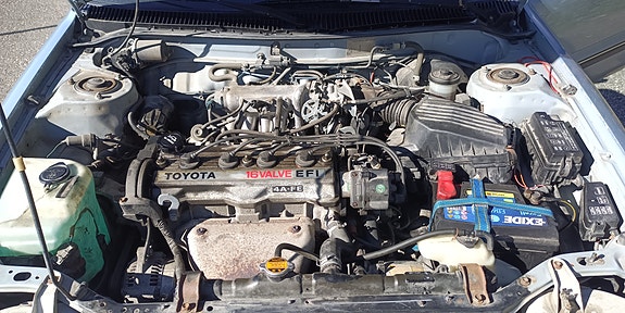 Toyota Corolla 8 of 8