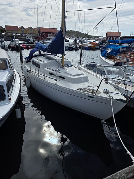 Albin Vega 27 8 of 21