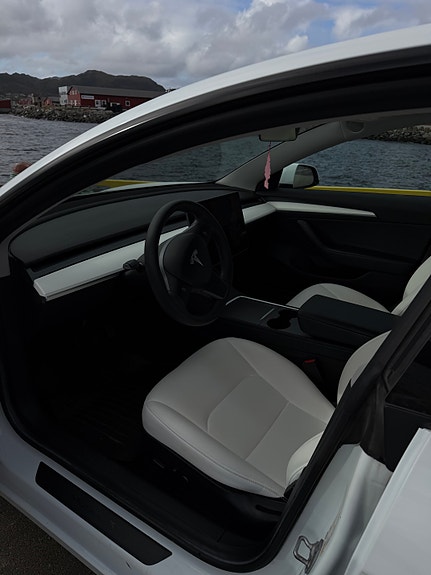 Tesla Model 3 7 of 8