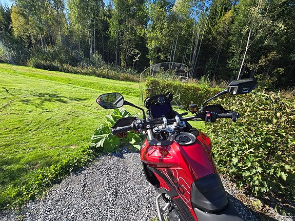 Triumph Tiger 900 GT Pro 11 of 24