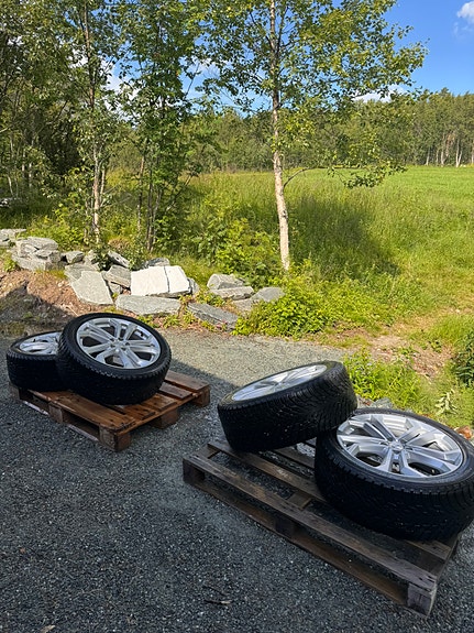 Polestar 2 10 of 14