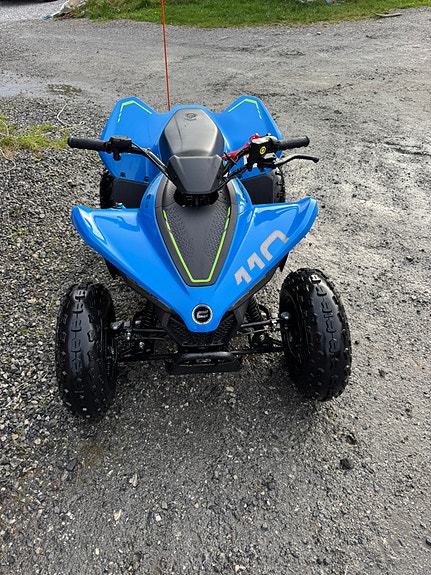 CFMOTO Cforse 110 3 of 4