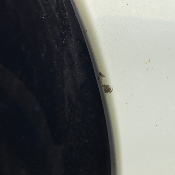 Tesla Model 3 16 of 27