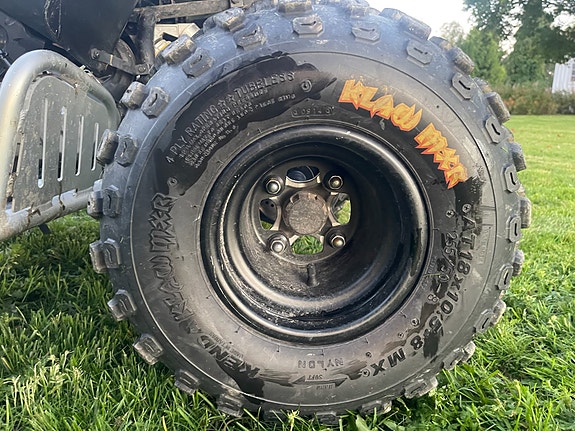 Can-Am DS 90 X 15 of 15