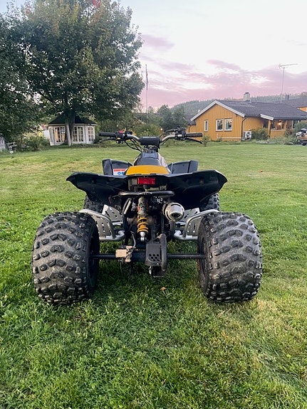 Can-Am DS 90 X 4 of 15