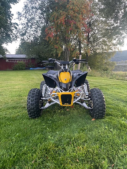 Can-Am DS 90 X 3 of 15
