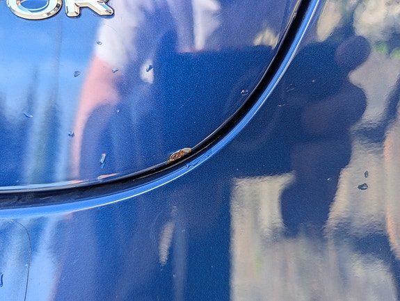 Tesla Model 3 19 of 30