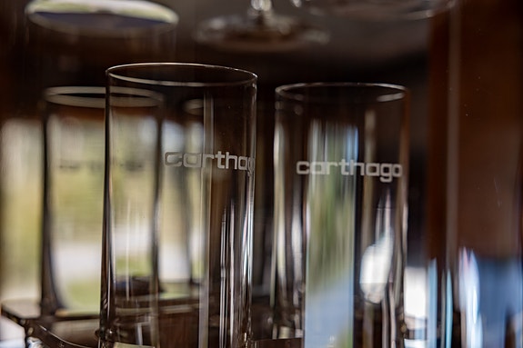 Carthago CHIC C-LINE I 4,9 22 of 30