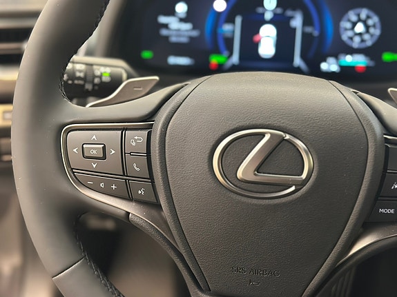 Lexus UX300e 16 of 30