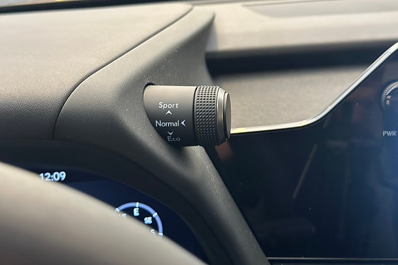 Lexus UX300e 20 of 30