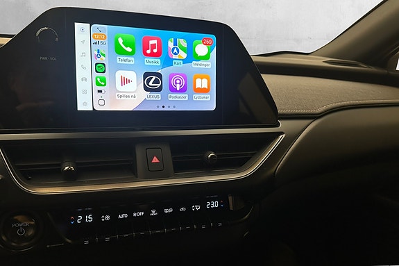 Lexus UX300e 21 of 30