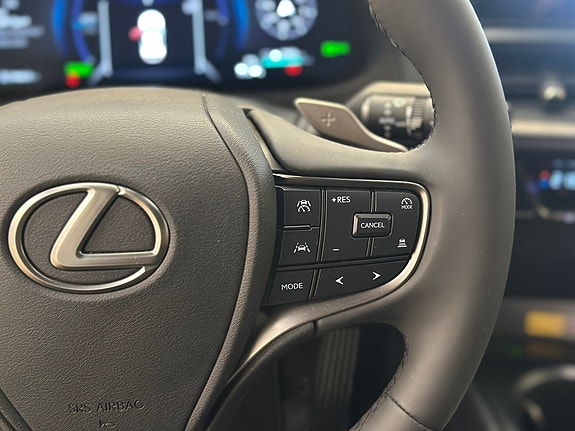 Lexus UX300e 17 of 30