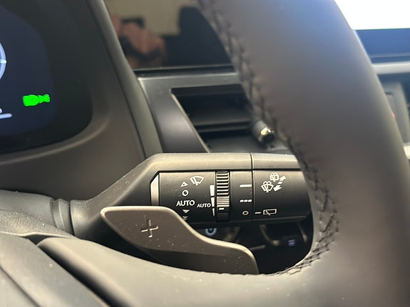 Lexus UX300e 19 of 30